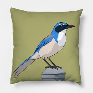 California Scrub-jay Pillow