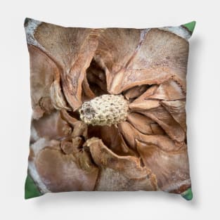 Faded picea cone Pillow