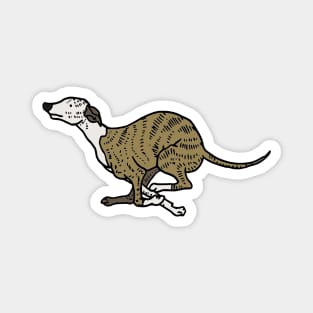 Whippet illustration Magnet