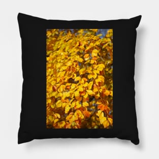 Autumn leaves, leaf color, beech, tree Pillow