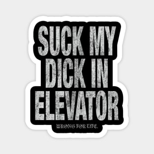  Elevator Magnet