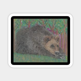 Brown bear Magnet