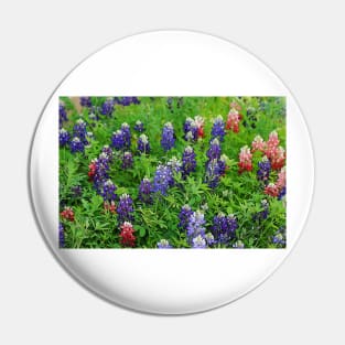 Field of Multicolored Bluebonnets Pin