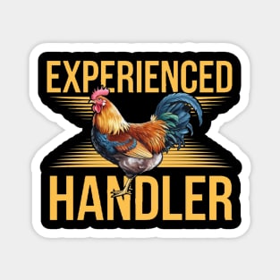 Inappropriate humor pun Magnet