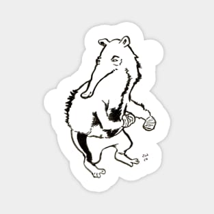 Boxing AntEater Magnet