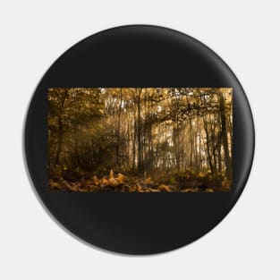 The Glade Pin