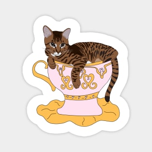 Teacup Tabby Magnet