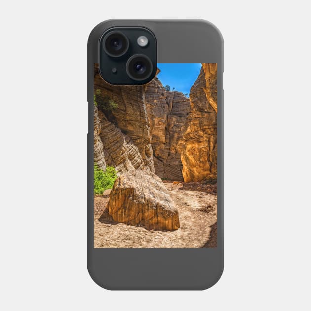 Lick Wash Trail Hike Phone Case by Gestalt Imagery