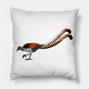 Superb Lyrebird Pillow