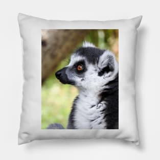 Ring Tailed Lemur Pillow