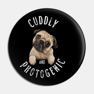 Cuddly and Photogenic Pin