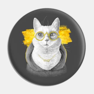 The charcoal cat (Asphait version) Pin