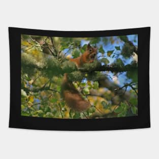 Red Squirrel Tapestry