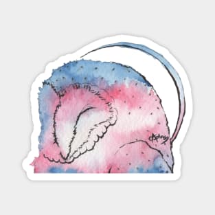 Transgender Watercolour Owl | Pride Bird Magnet