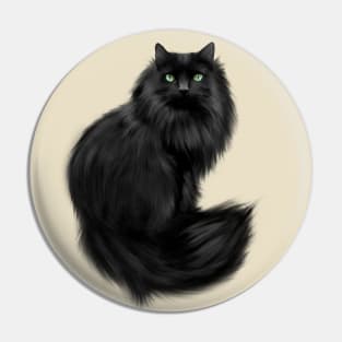 Beautiful Long Haired Cat Pin