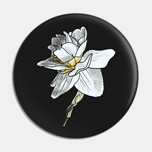 Daffodil 2 Pin