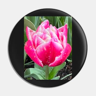 Two Lips Together of the Perfectly Pink Summer Tulip Pin