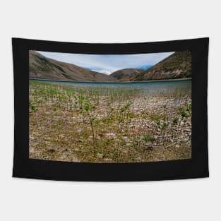 Lake Coleridge Tapestry