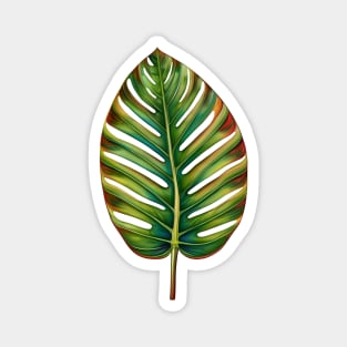 Watercolor Green Teal Yellow Red Tropical Leaf Magnet