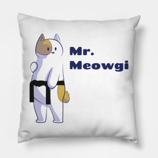 Mr. meowgi, the karate cat Pillow