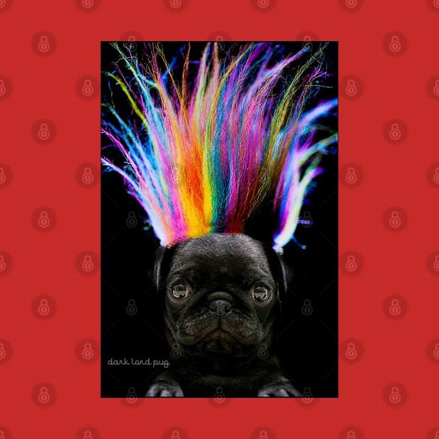 Rainbow Hair Pug by darklordpug