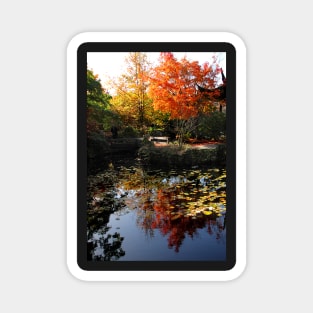 Chinese Garden in Autumn: Vancouver Magnet