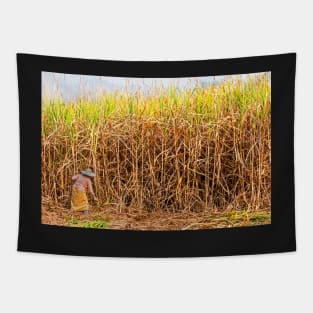 Sugar Cane. Tapestry