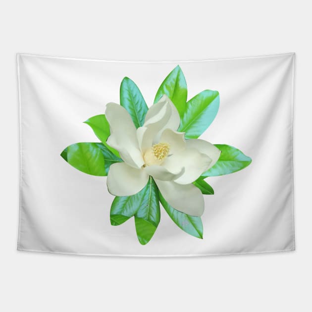 Magnolia flower flora Tapestry by Kingluigi