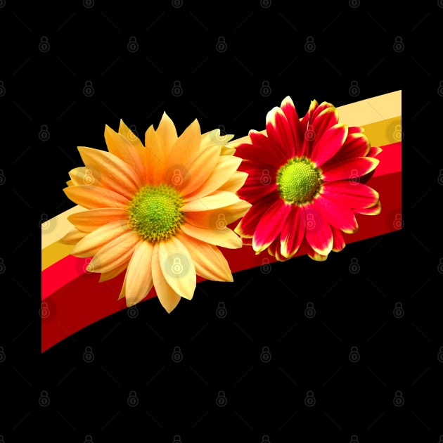 red yellow flowers bloom petals by rh_naturestyles