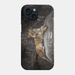 A Lioness Perch Phone Case