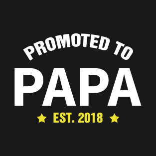 PROMOTED TO PAPA EST 2018 gift ideas for family T-Shirt