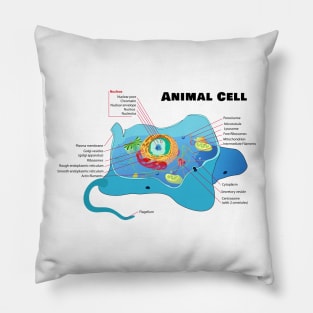 Structure of a Typical Animal Cell Pillow