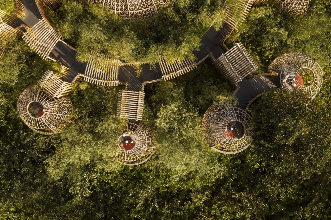Drone view of the treetop nests of Terra at the Waldorf Astoria Maldives Ithaafushi