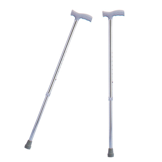 Walking Stick Single Leg