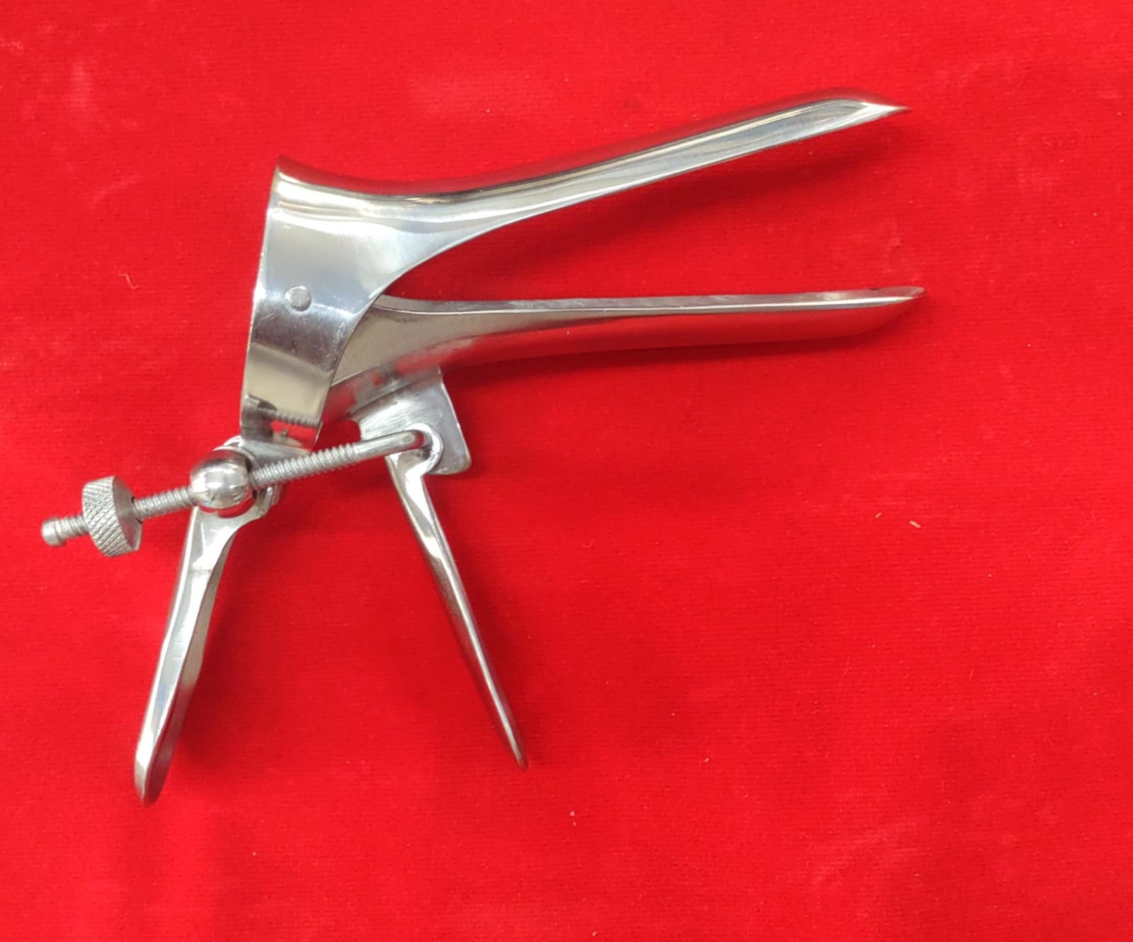 CUSCUS SPECULUM