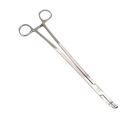 Punch Biopsy Forceps