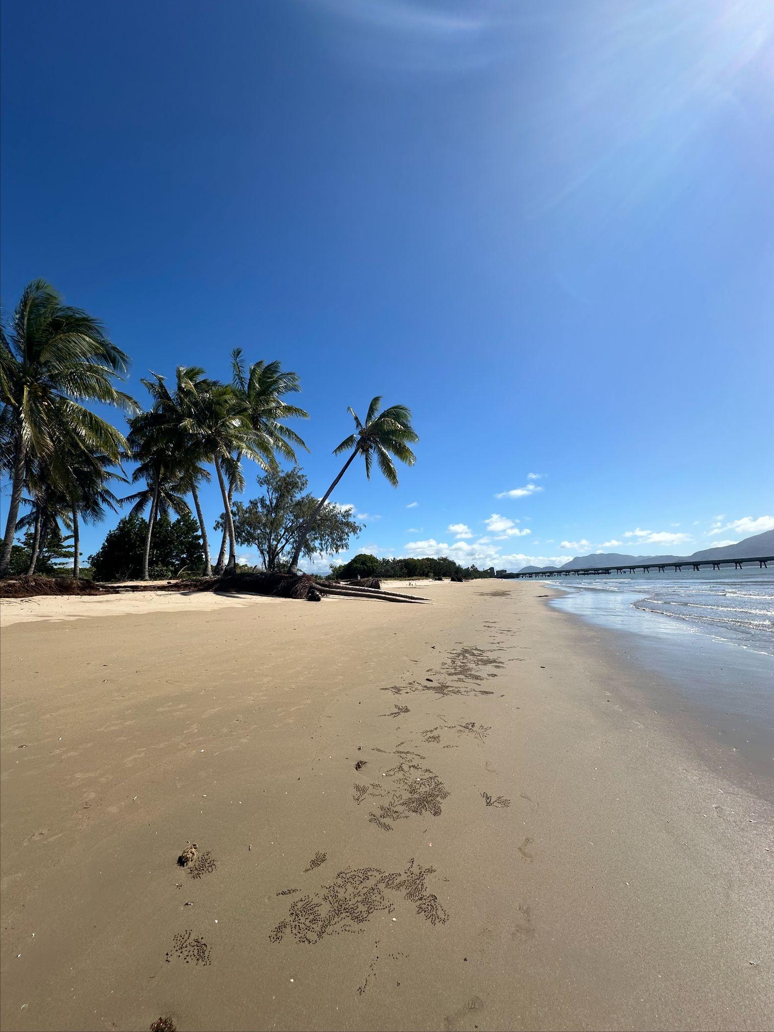 Information Panel Image