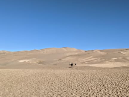 Walk to Dunes from Parking Area Walk to Dunes from Parking Area