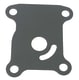 Wear Plate (Johnson/Evinrude), Erst: 318995