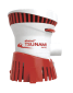Pumpe Tsunami MK2 T500 12V