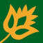 slovocars-logo