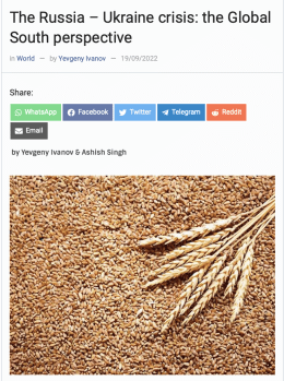 Screenshot des Texts "The Russia - Ukraine Crisis: The Global South Perspective" auf Countercurrents.org