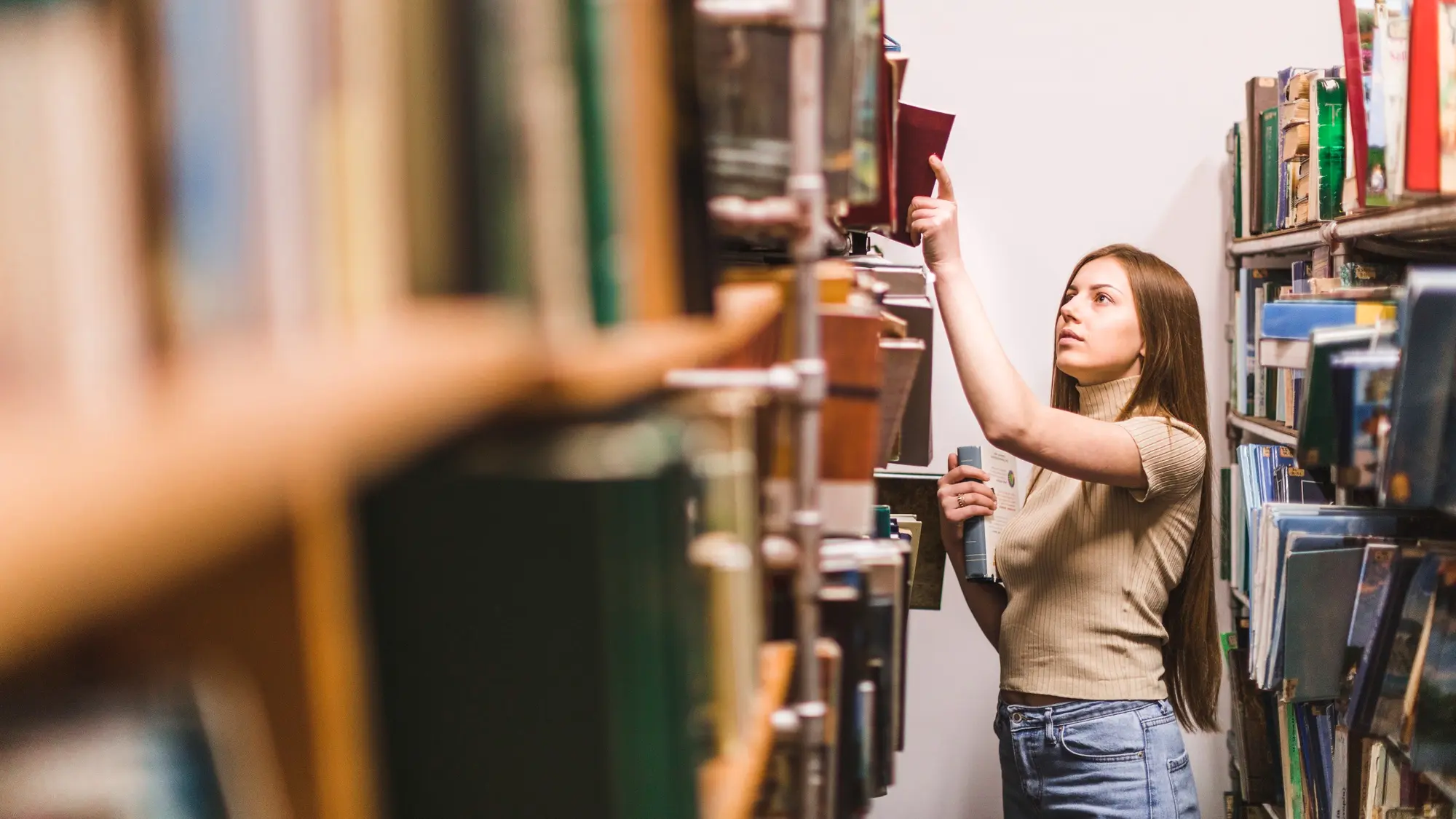 University Background