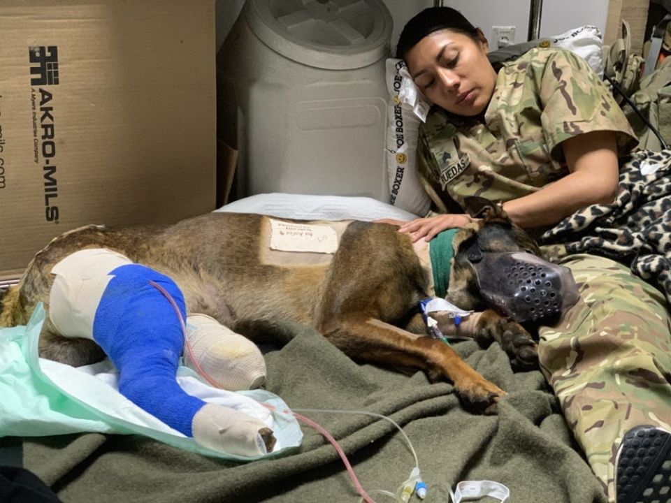 A U.S. Army Reserve soldier from the 149th Veterinary Detachment, Staff Sgt. Marisela Ruedas, sits with Kuno following surgery.