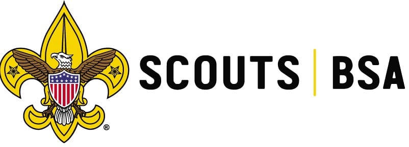 Scouts BSA fleur-de-lis with eagle