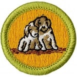 Dog Care