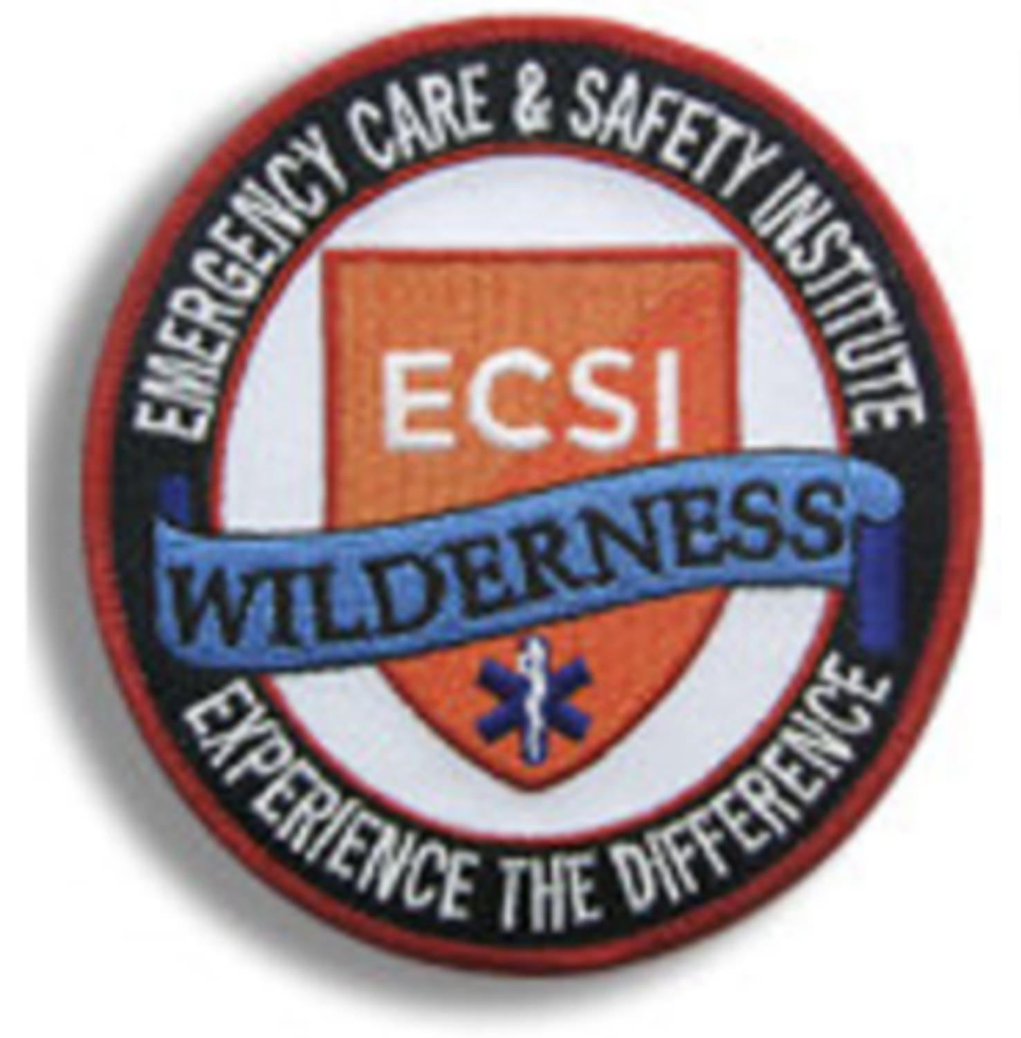 BSA Wilderness First Aid patch