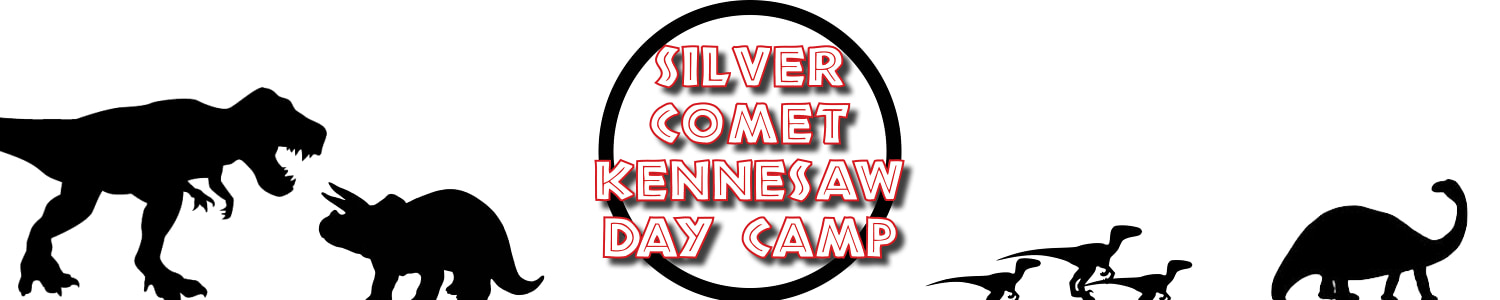 Silver Comet Kennesaw Day Camp Atlanta Area Council Boy