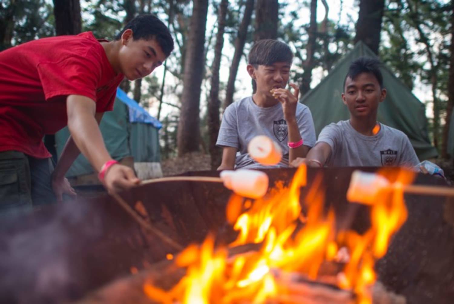 Oahu Aloha Council Boy Scouts Hawaii Guam And American Samoa