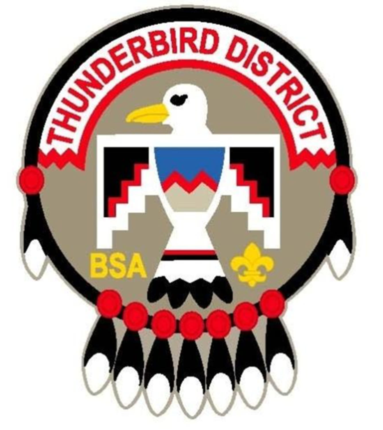 Thunderbird District Logo Thunderbird District Logo of a white-and-black bird of prey inside a dream catcher.